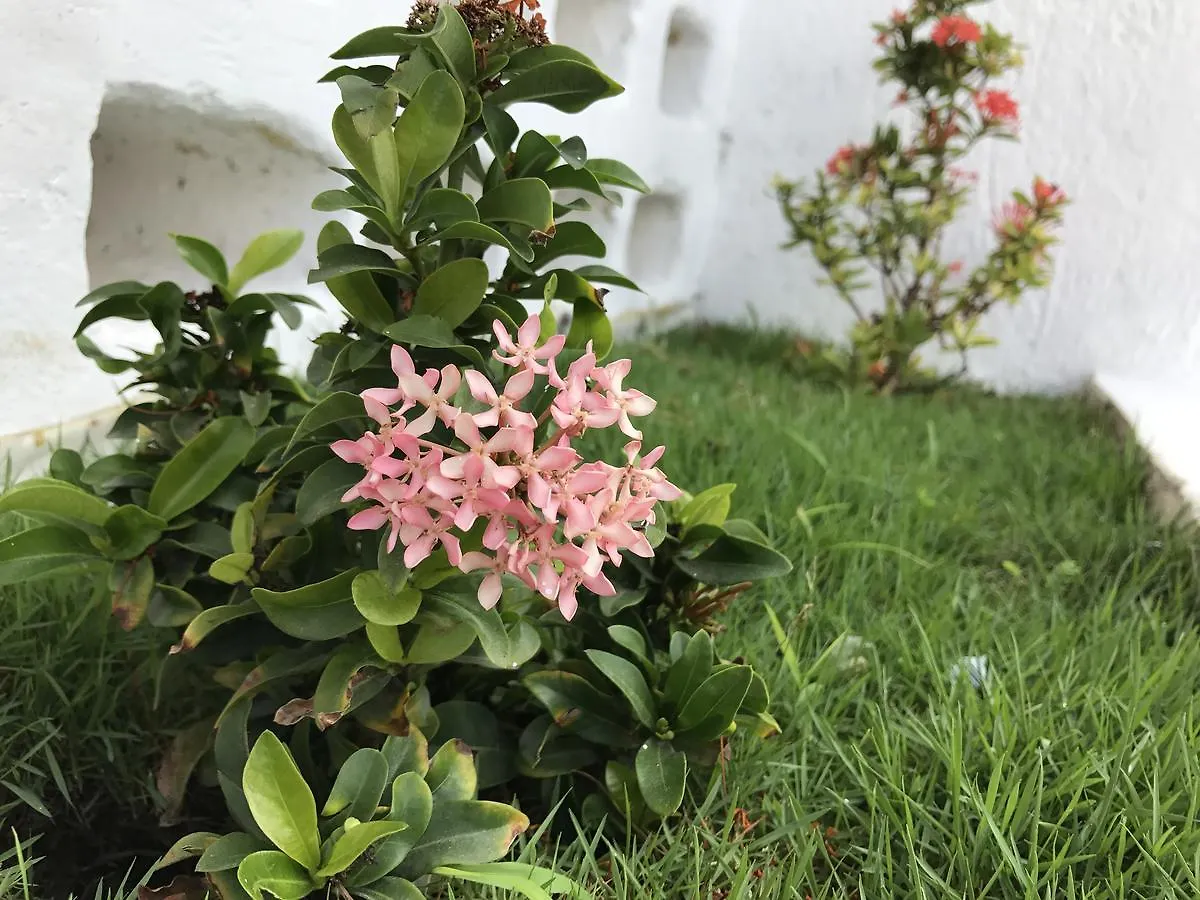 Hotel Villas San Ignacio プレヤデルカーメン