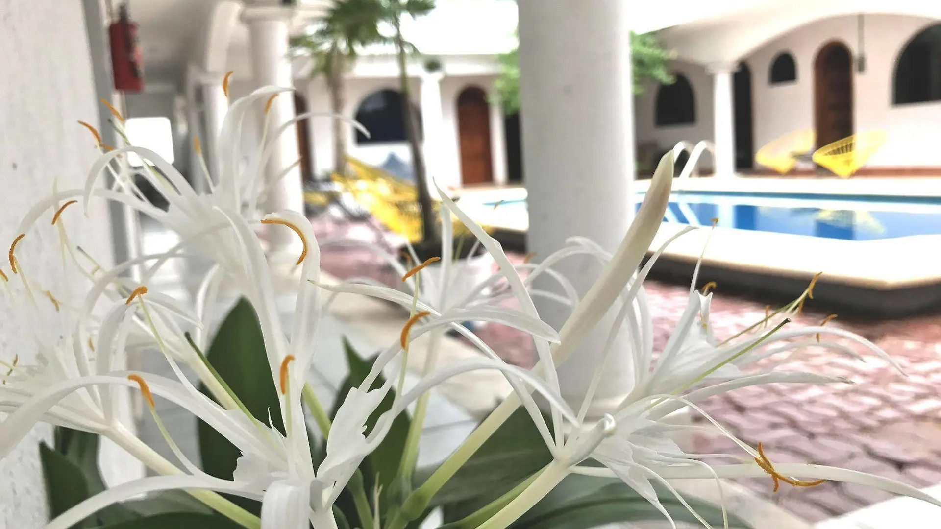 Hotel Villas San Ignacio Playa del Carmen